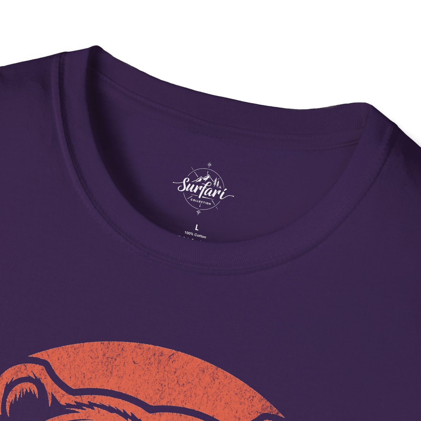 Retro Sunset Bear