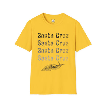 Santa Cruz