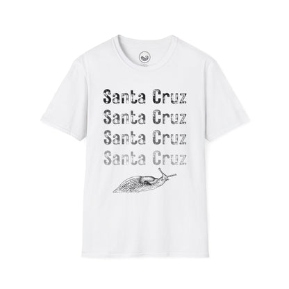 Santa Cruz